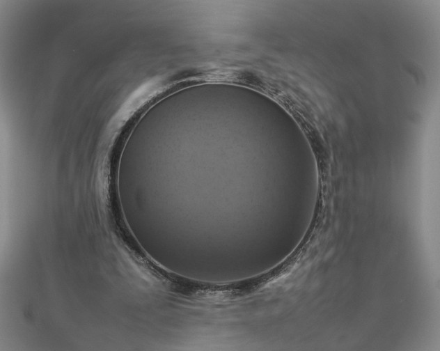 X0000112770295200908271647