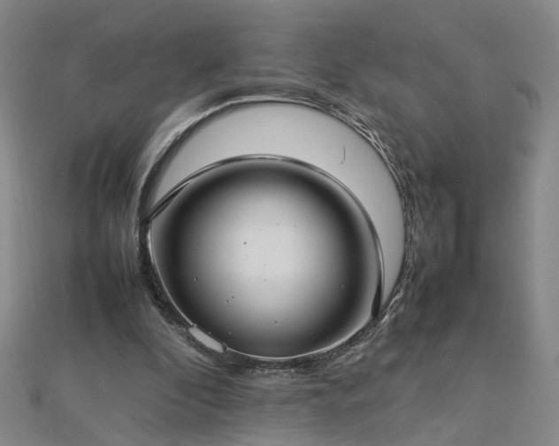 X0000112770296200908271647