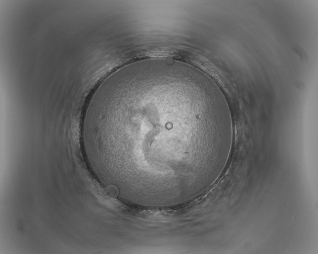 X0000112770297200908271647