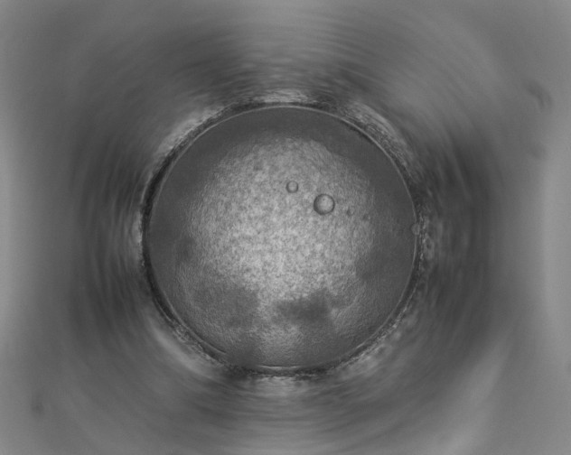 X0000112770298200908271647