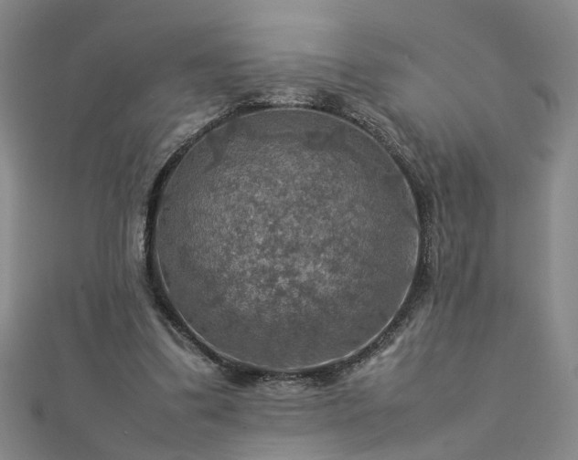 X0000112770299200908271647