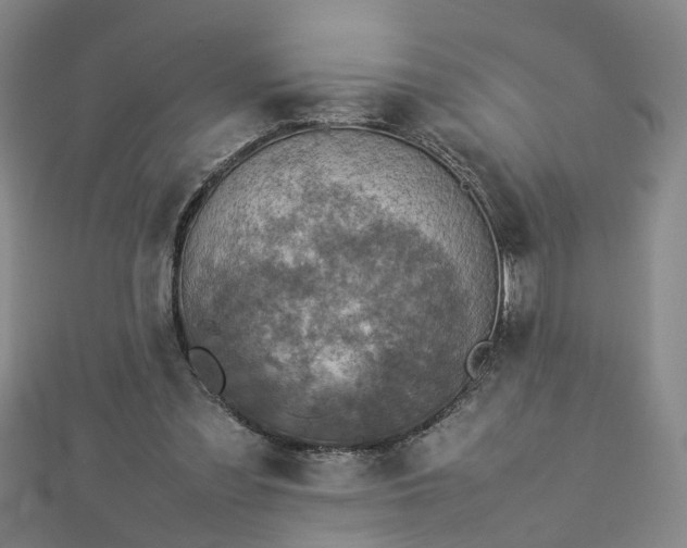 X0000112770301200908271647