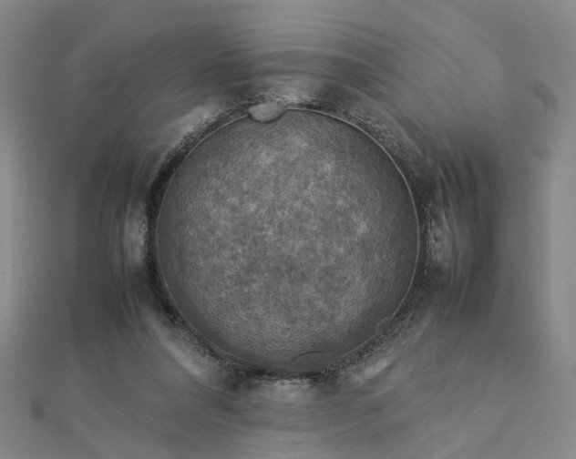 X0000112770304200908271647