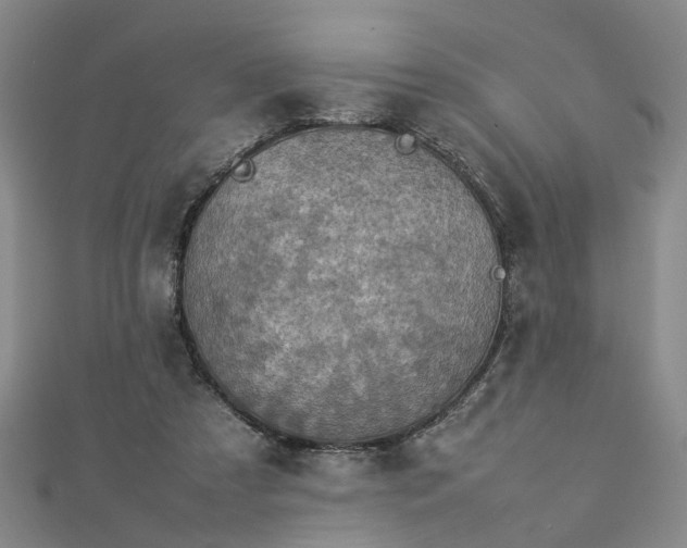 X0000112770305200908271647