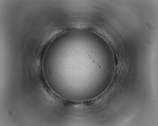 X0000112770306200908271647