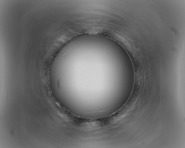 X0000112770307200908271647