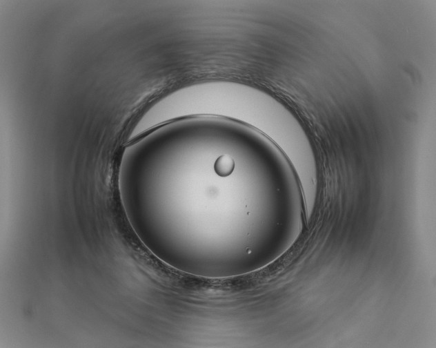 X0000112770308200908271647