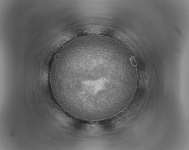 X0000112770309200908271647