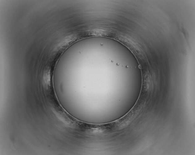 X0000112770310200908271647