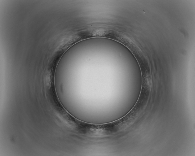 X0000112770311200908271647