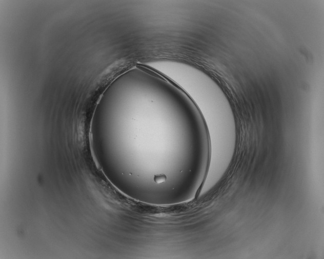 X0000112770312200908271647