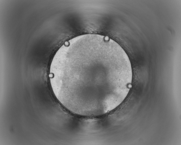 X0000112770313200908271647