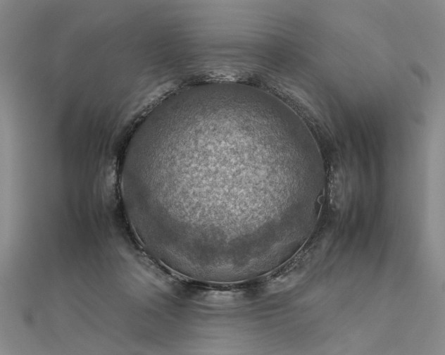 X0000112770314200908271647