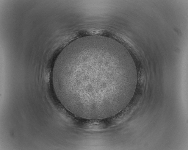 X0000112770315200908271647