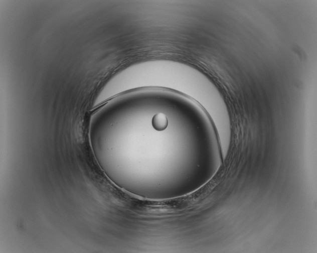 X0000112770316200908271647