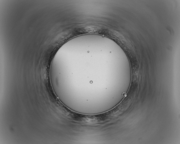 X0000112770317200908271647