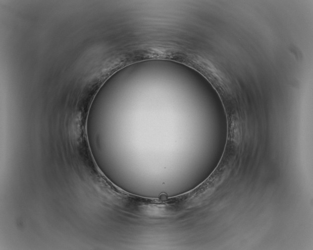 X0000112770318200908271647