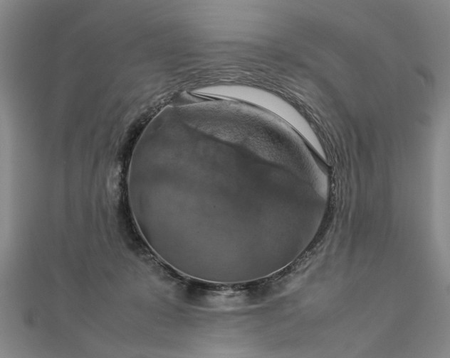 X0000112770319200908271647