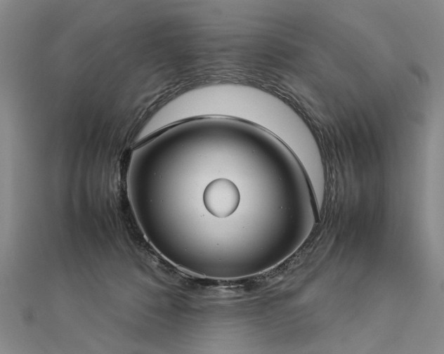 X0000112770320200908271647