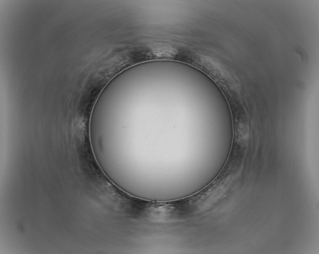 X0000112770321200908271647