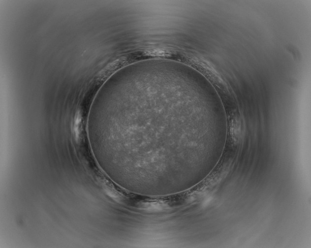 X0000112770322200908271647