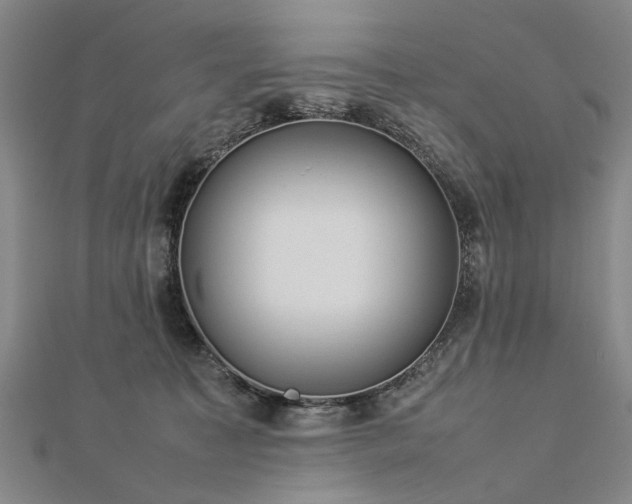 X0000112770323200908271647