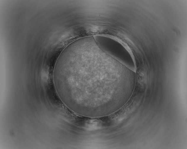 X0000112770324200908271647