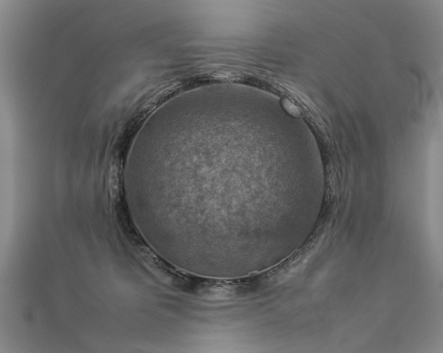 X0000112770325200908271647