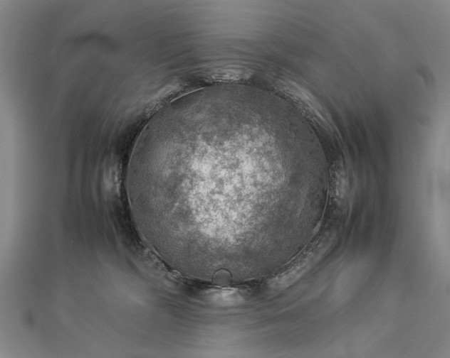 X0000112770326200908271647