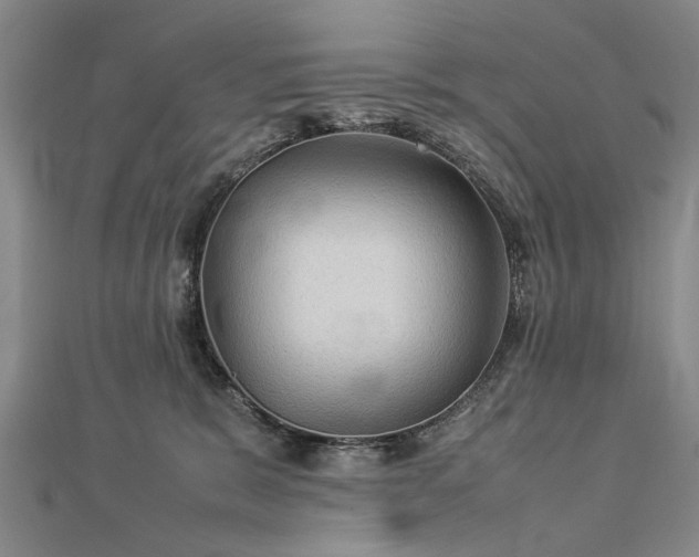 X0000112770327200908271647