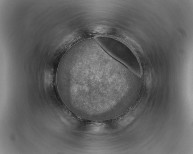 X0000112770328200908271647