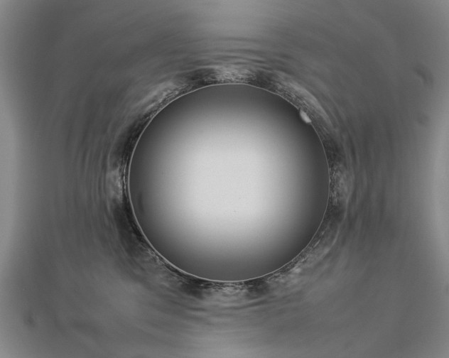 X0000112770329200908271647