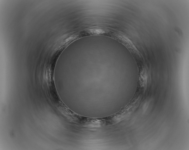 X0000112770330200908271647