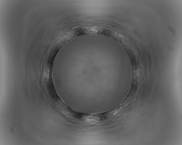 X0000112770331200908271647