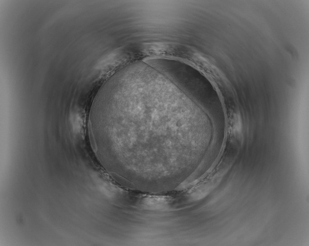 X0000112770332200908271647