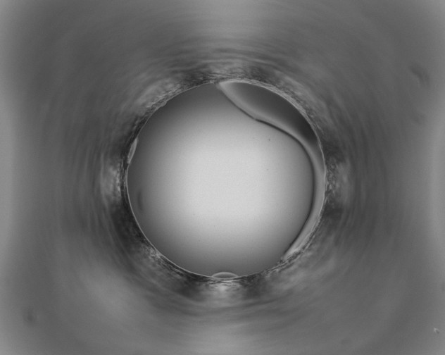 X0000112770333200908271647