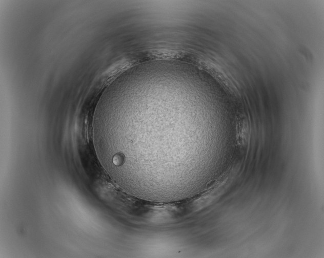 X0000112770334200908271647