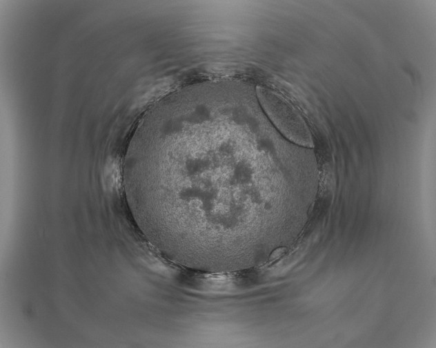 X0000112770335200908271647