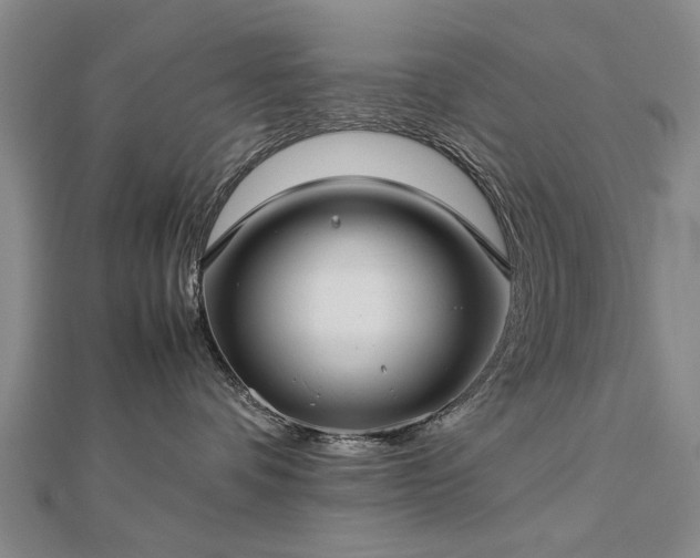 X0000112770336200908271647