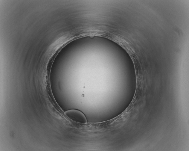 X0000112770338200908271646