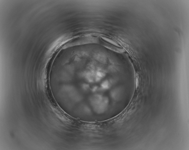 X0000112770339200908271646