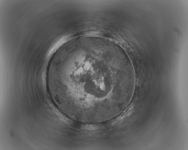 X0000112770341200908271646