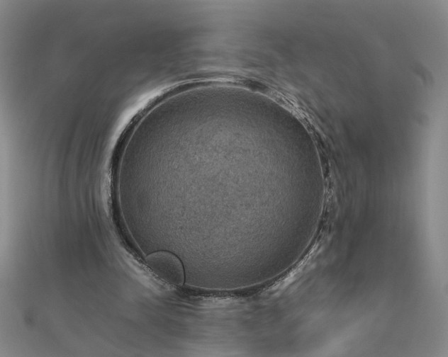 X0000112770342200908271646