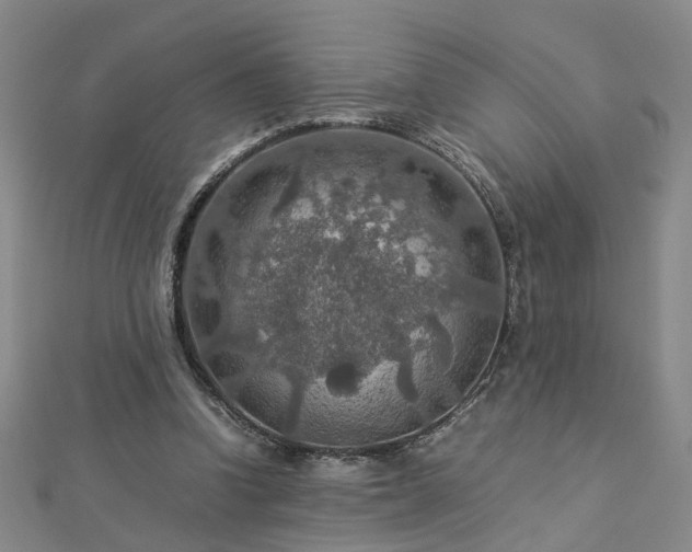 X0000112770346200908271646