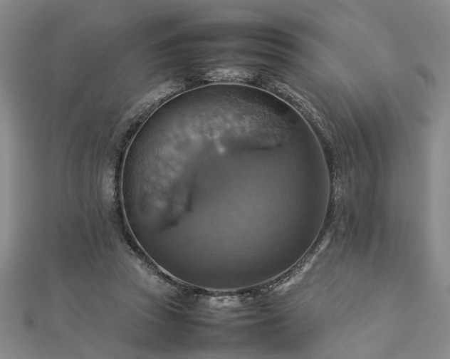 X0000112770353200908271646