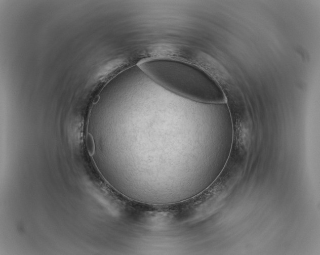 X0000112770356200908271646