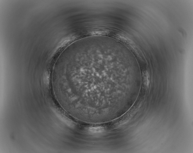 X0000112770357200908271646