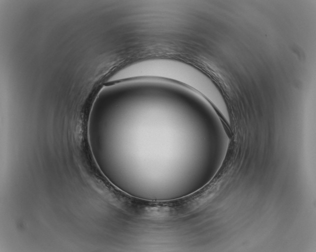 X0000112770362200908271646