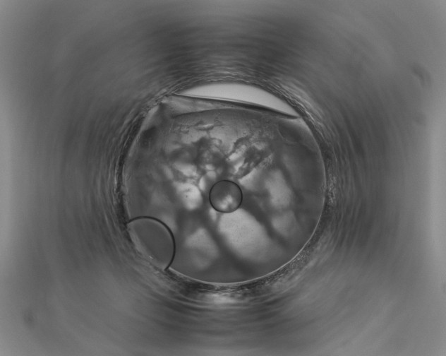 X0000112770365200908271646