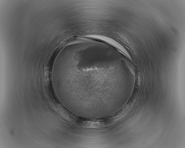 X0000112770366200908271646